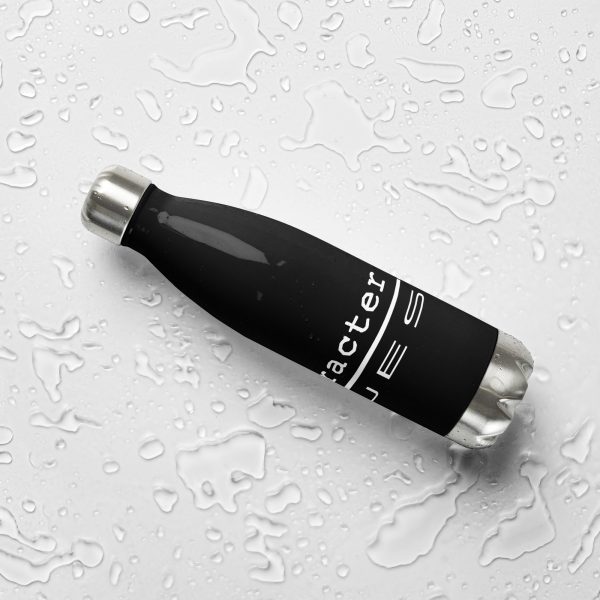 Stainless steel water bottle