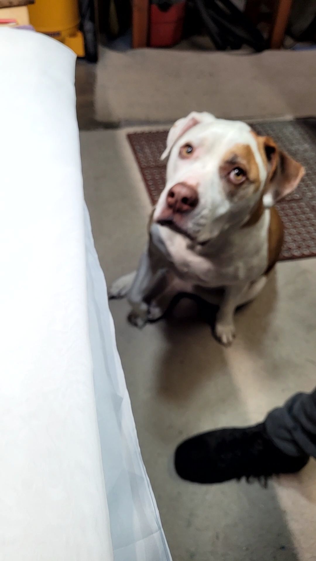 Stick LE142: Denim 80s Girls: Carrie Whispers Tongue - Image 17